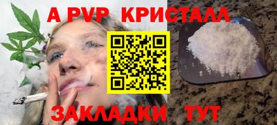 стаф Новокубанск
